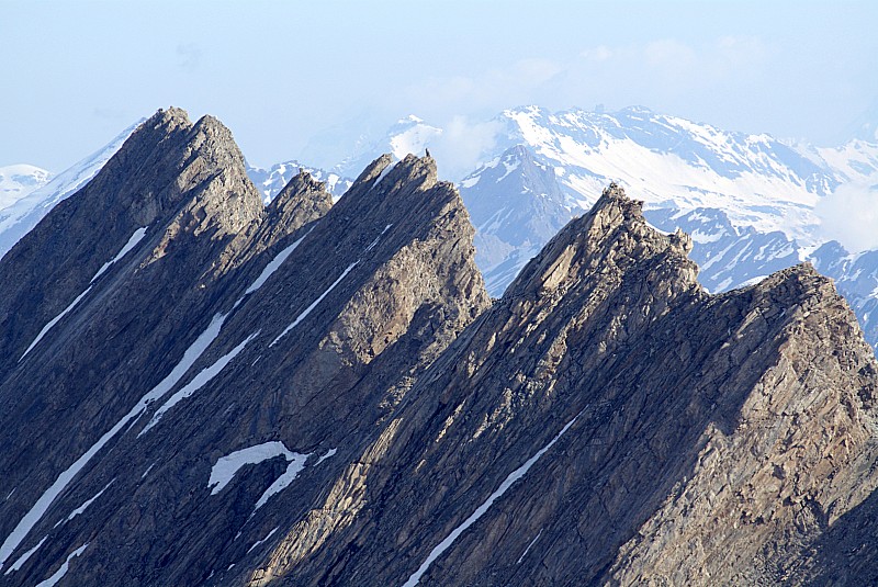 Crête de la Taillante : depuis Rocca Rossa