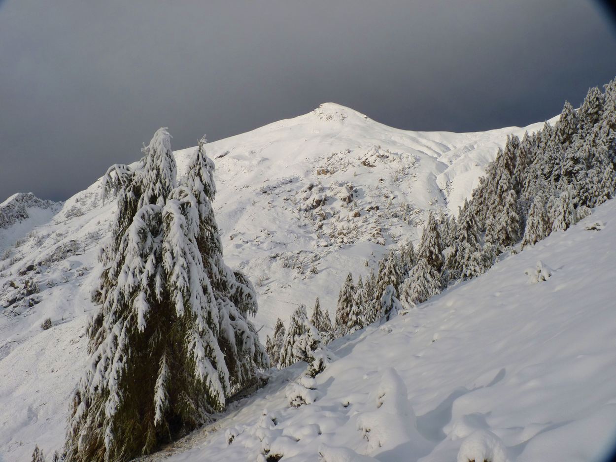 #2 Le Palastre : pas pour de suite! Le Palastre : pas pour de suite!