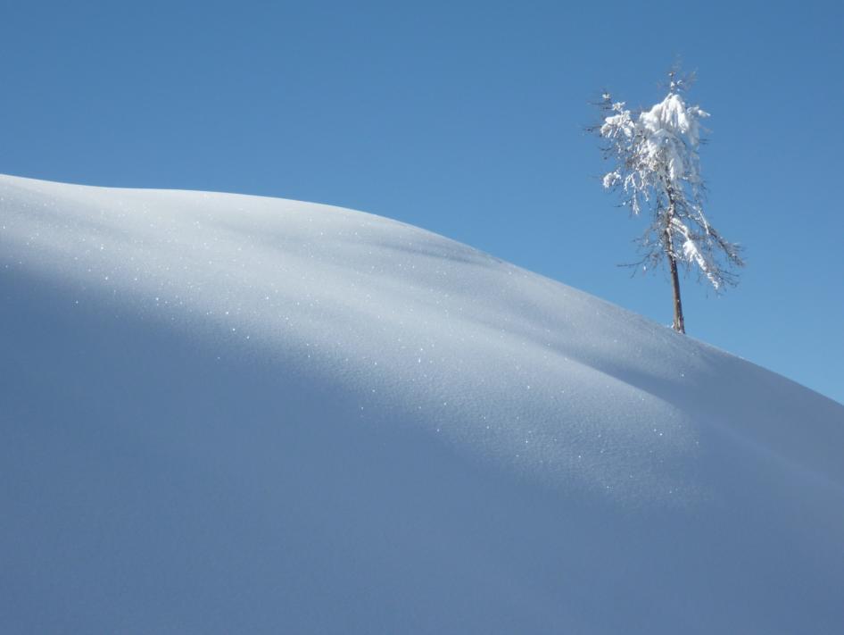 Dormillouse : Dernier arbre avant la plage