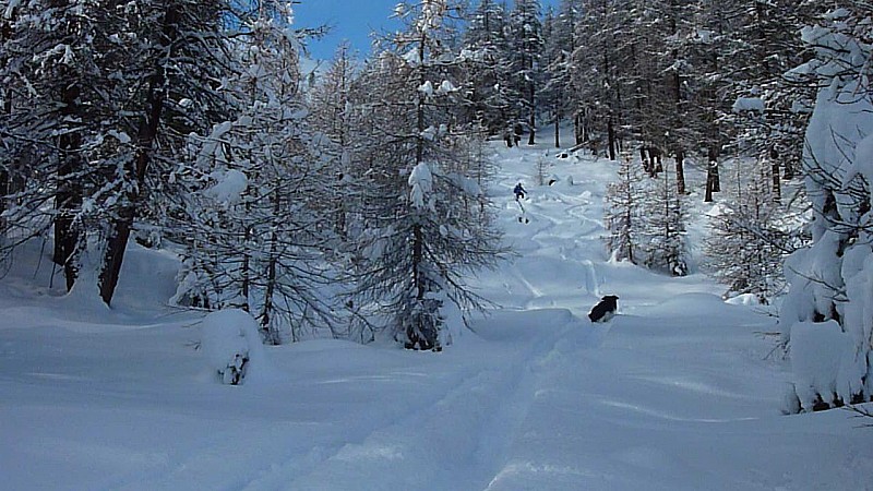 crête des Peygus : descente, bonne poudreuse