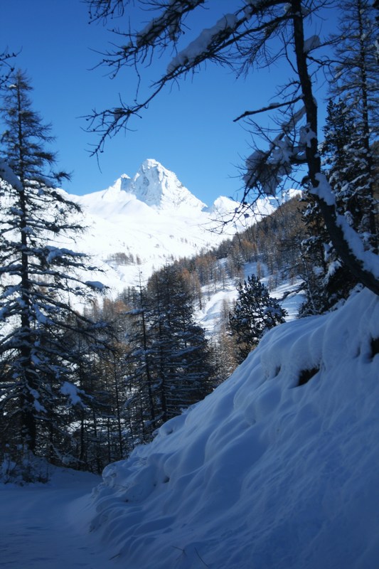 Bric Bouchet : le seigneur des lieux