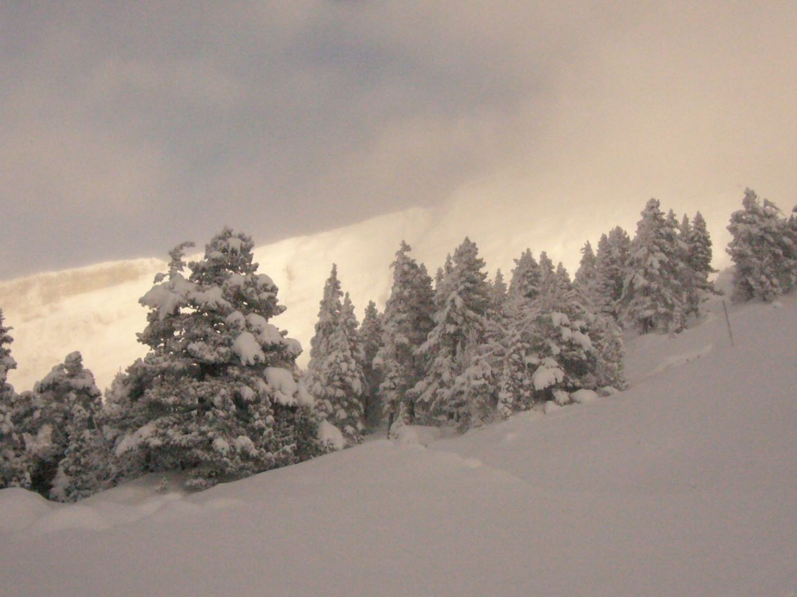 paysage : une idée de l'enneigement vers 1700m