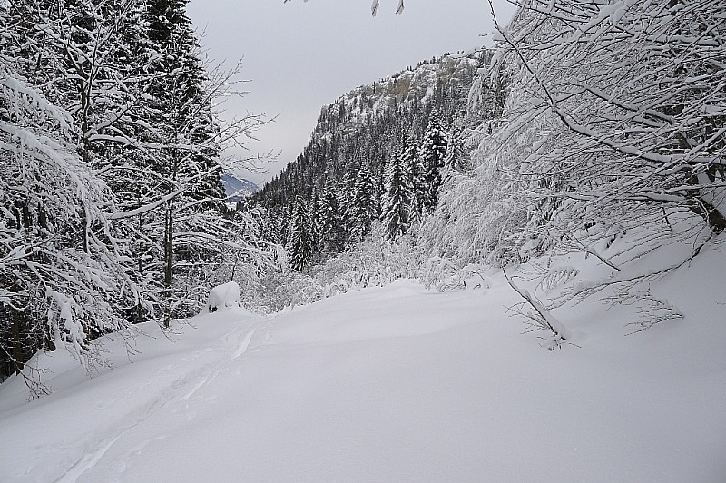 Trace : re-montée