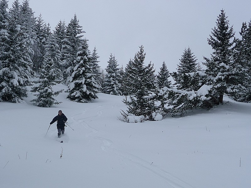Ambiance hivernale : Sapins sympas et skieur rieur