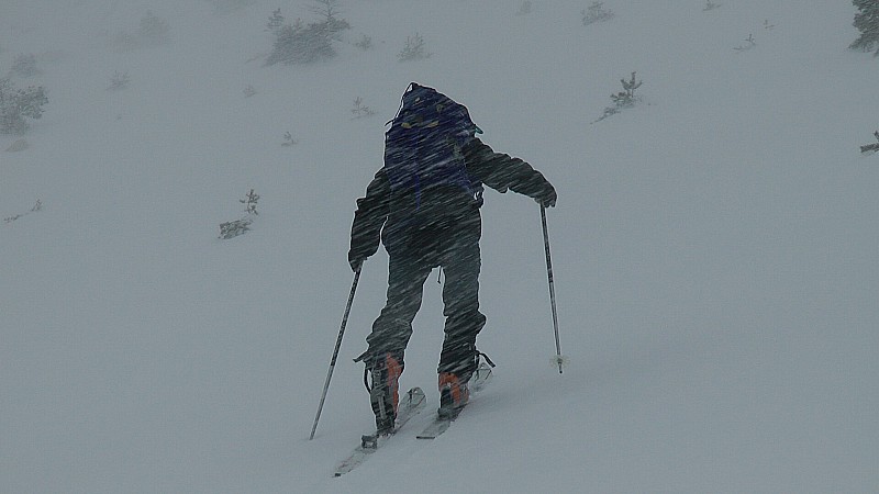 Blizzard, vous avez dit blizzard! belle journée selon météo france
mais on est content, la neige est bien là cette fois et bas !