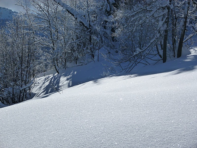 Combe de la Scia : La neige de dimanche a bien fait les choses