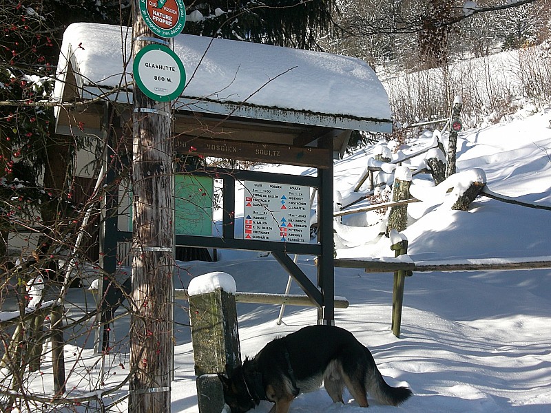 #2 Parking de la Glashutte : Altitude 860m Parking de la Glashutte : Altitude 860m