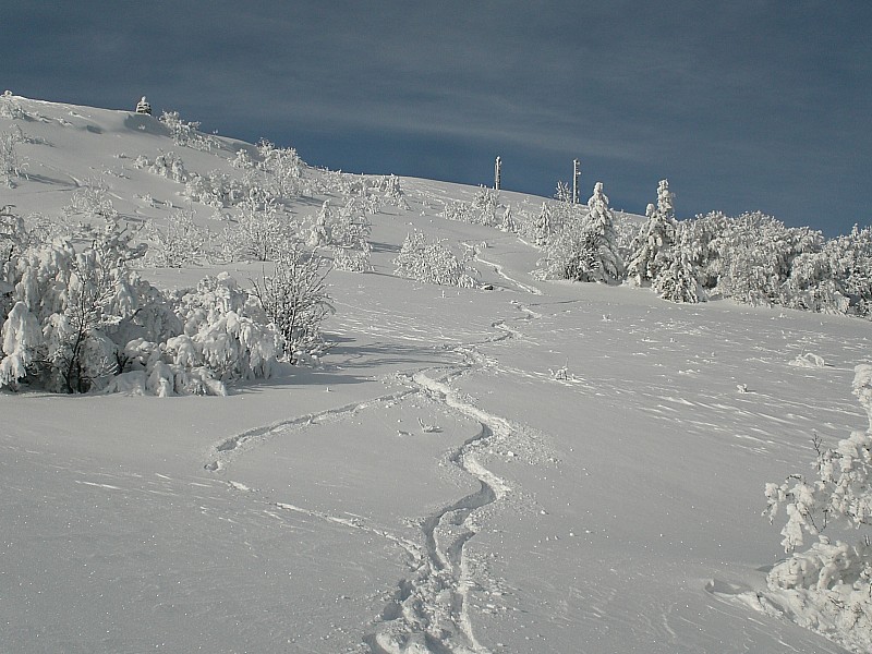 #5 Descente sous le sommet : Légère pente en face E sous le sommet. La poudre est au rendez-vous. Descente sous le sommet : Légère pente en face E sous le sommet. La poudre est au rendez-vous.