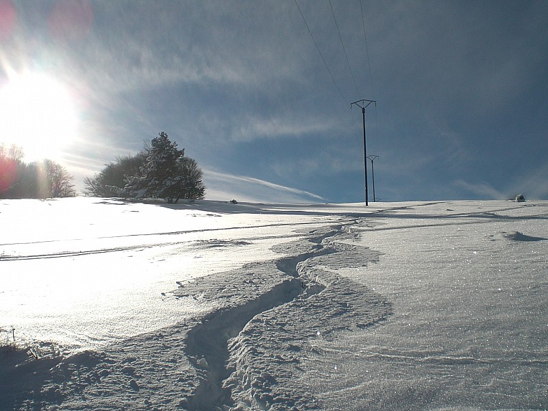 #7 Pour le plaisir : Encore une belle trace le long de la ligne électrique. Chers montagnards des Alpes ou des pyrénées, içi en Alsace le plus dur est de trouver un itinéraire que la forêt ne recouvre pas et c Pour le plaisir : Encore une belle trace le long de la ligne électrique. Chers montagnards des Alpes ou des pyrénées, içi en Alsace le plus dur est de trouver un itinéraire que la forêt ne recouvre pas et c'est pas évident !!