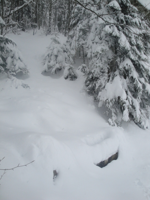 Fontaine des Cotes : C'est trop tard, faut redescendre maintenant, je n'irais pas plus loin aujourd'hui.