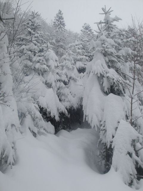 Le monde de Narnia : L'heure tourne sacrément vite et la D+ n'avance pas