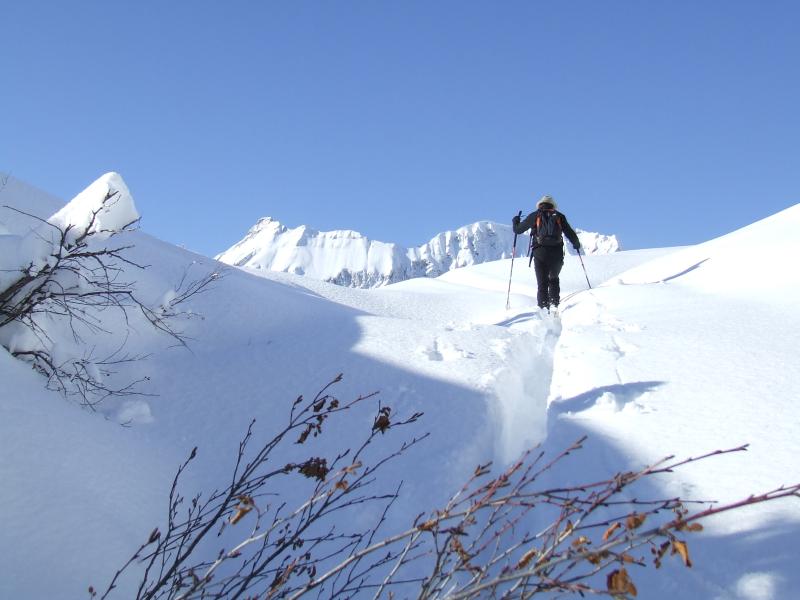 Petit croisse baulet : face aux Aravis