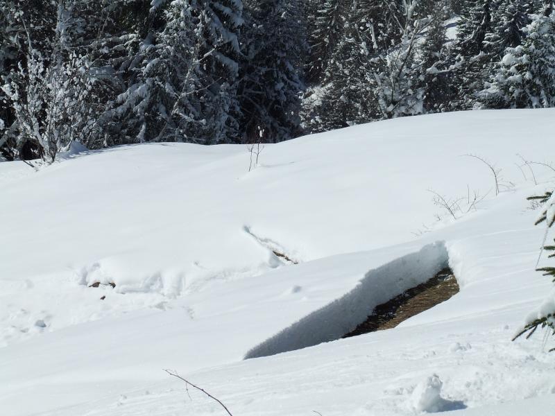 Petit croisse baulet : quelques belles reptations sur les sols herbeux