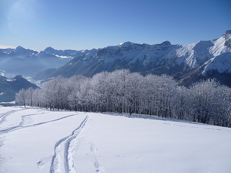 Sortie de la forêt