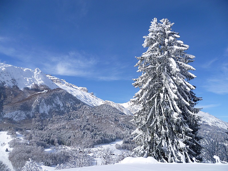 Paysage hivernal