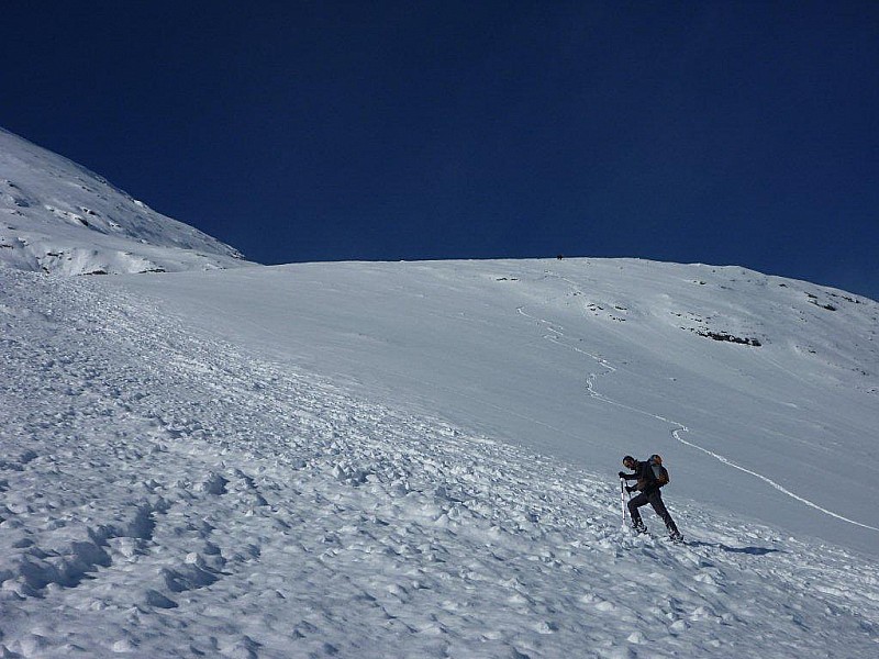 coulée : avec le chamois au dessus