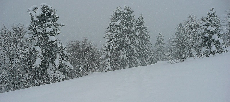 #6 Traces de montées recouvertes : Descente excellente à venir, méritée non ? Traces de montées recouvertes : Descente excellente à venir, méritée non ?
