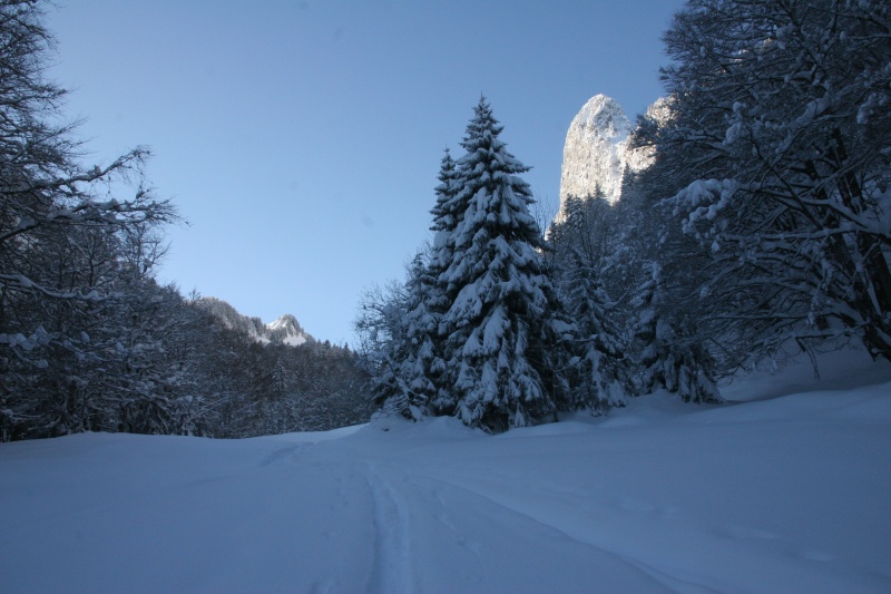 la Dent du Cruet : depuis le pied de la combe menant à Talamarche