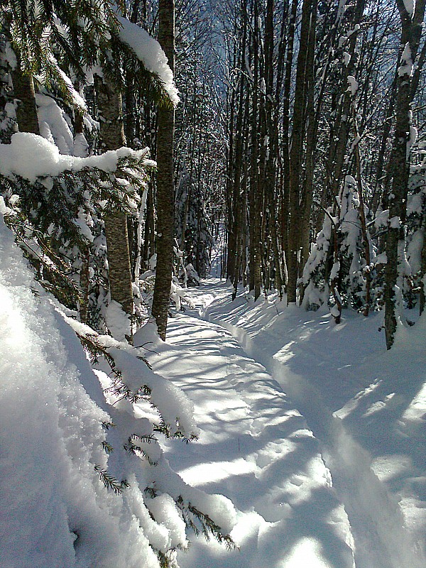 Trace de montée : Trace de montée avec l'épaisseur de poudre