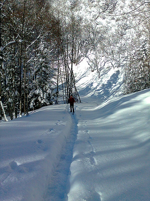 Fab dans la montée au col des hurtières.