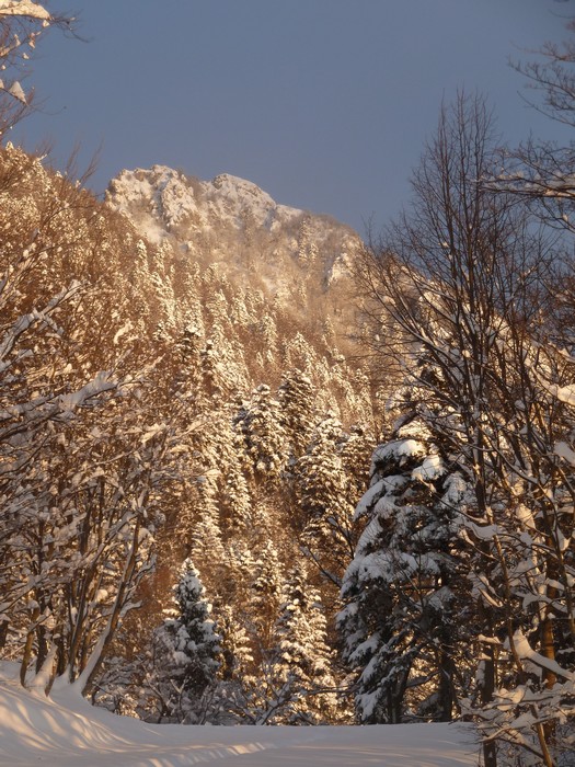 Dent du Chat : Eclairage matinal sur la Dent du Chat.