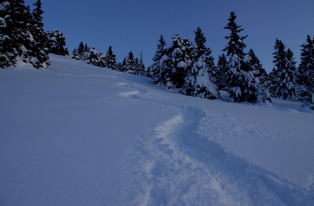 Poudreuse nocturne : Belle épaisseur de poudreuse, qui oppose à la glisse, la structure de ses grains, entrelacés. 15 minutes de descente, qui valent 3h de montée!