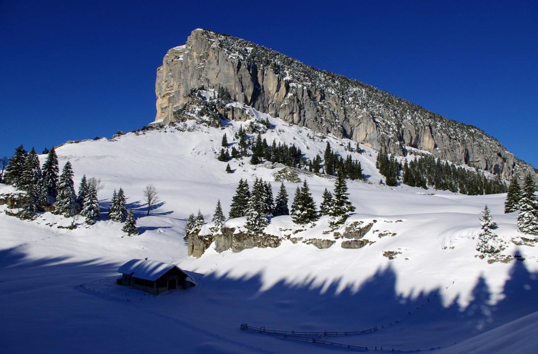Le Granier vu de l'Alpette : Ambiance finoise dans les sous bois, le Granier resplendit.