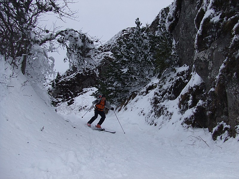 Descente : Bonne neige dans les muletiers