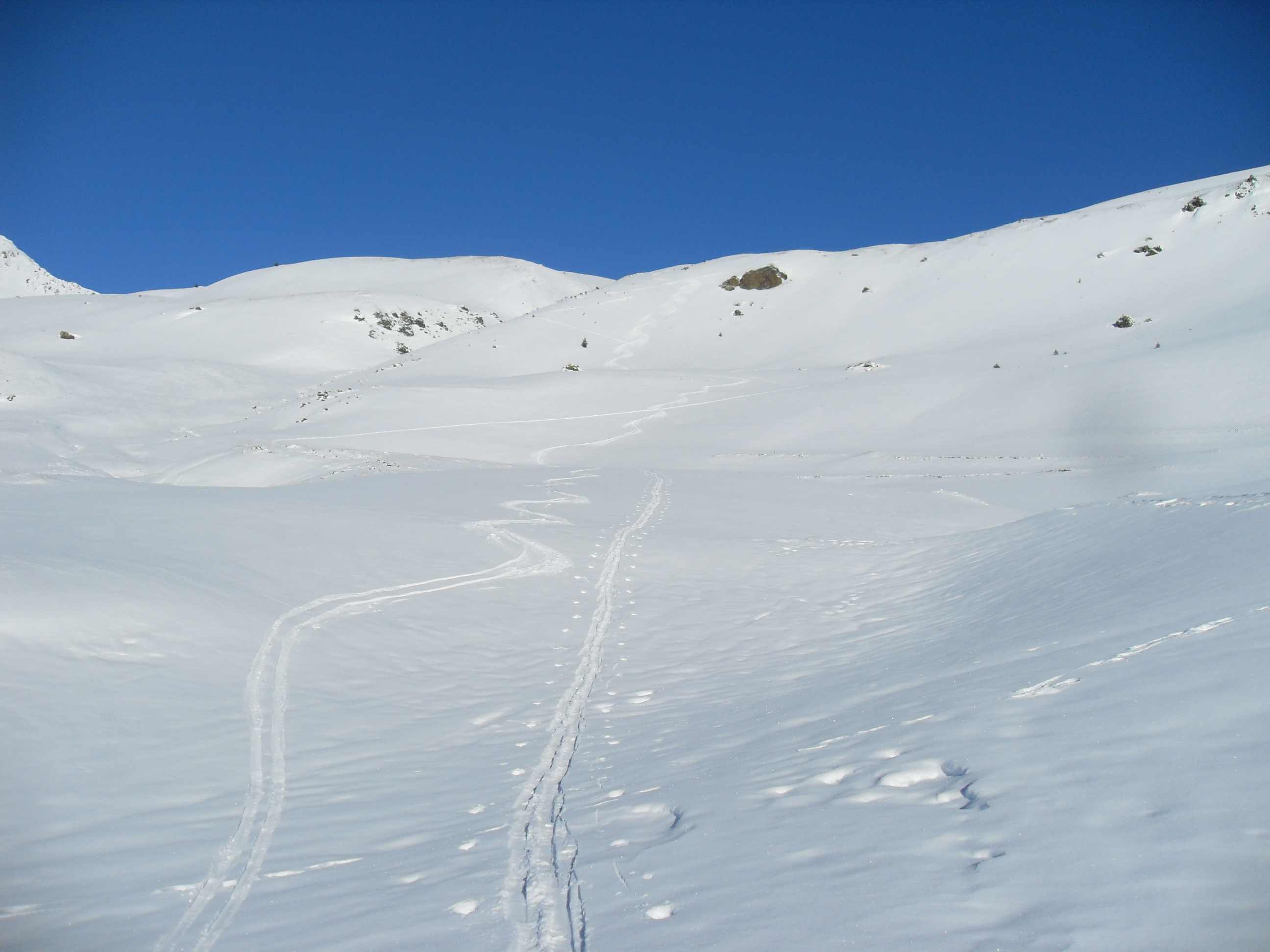Cime de Saurel : quelques petites pentes pas mauvaises à skier