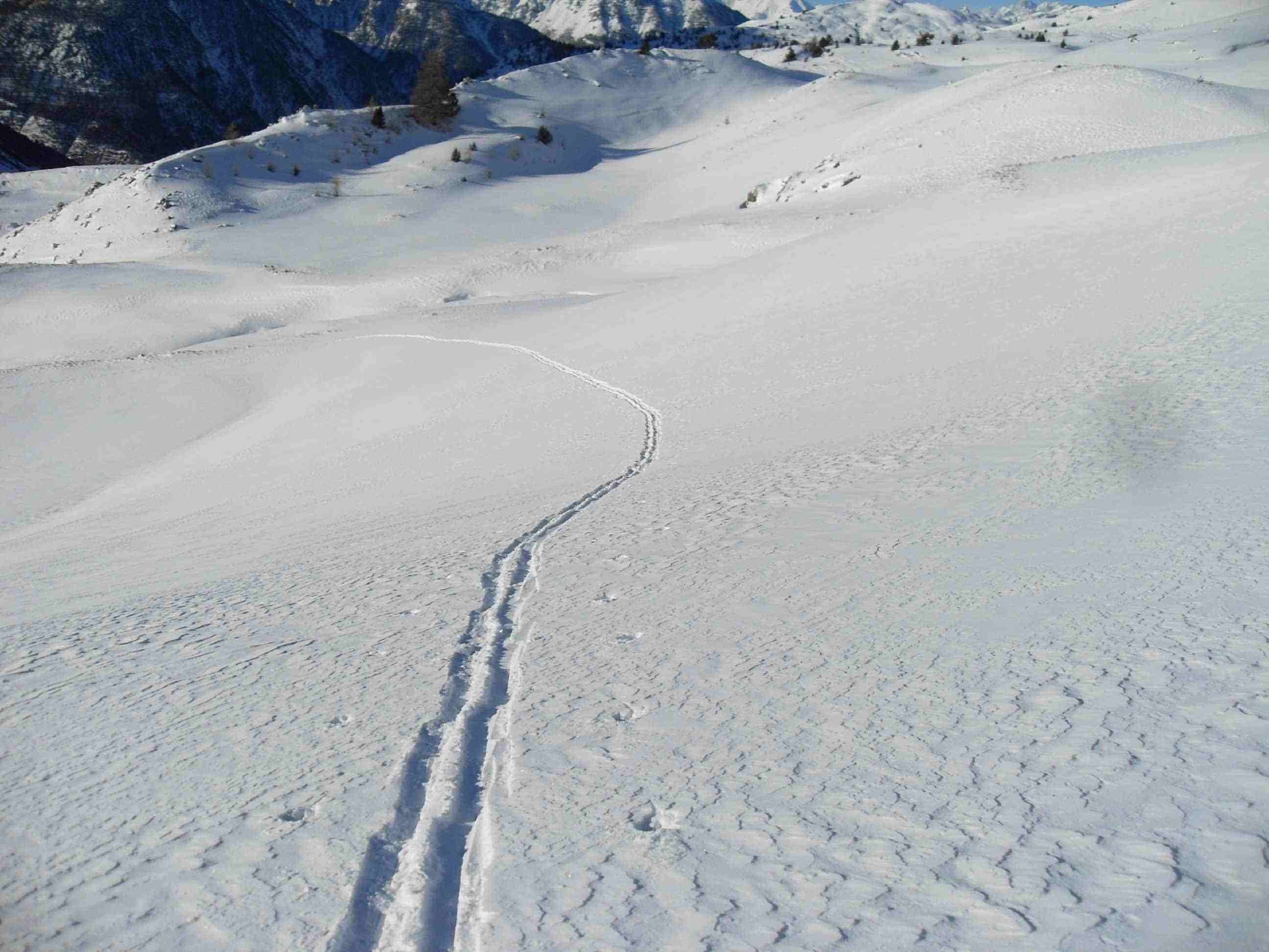 Cime de Saurel : seulement 10 cm de Fraîche, facile la trace!