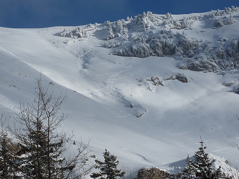 Face SO de Bellefond : On aperçoit la plaque déclenchée sous les skis à la descente au niveau d'une rupture de pente. Le départ s'est fait à moitié sur l'herbe et à moitié sur de l'ancienne neige.