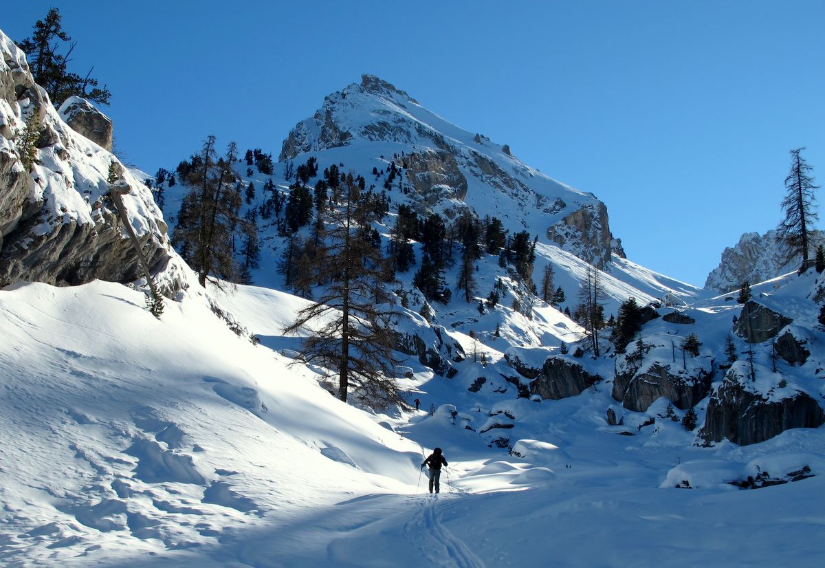 La sortie des bois