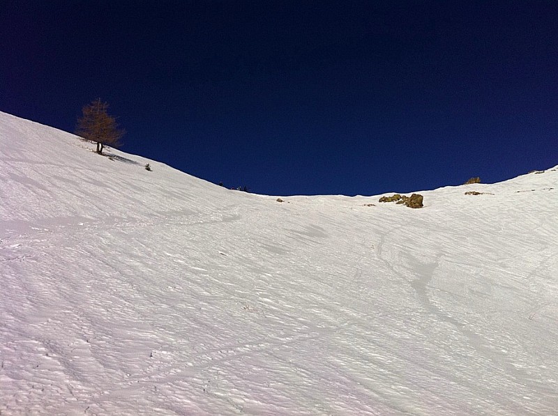 Col de veillos : Col de veillos, ils sont déjà là haut