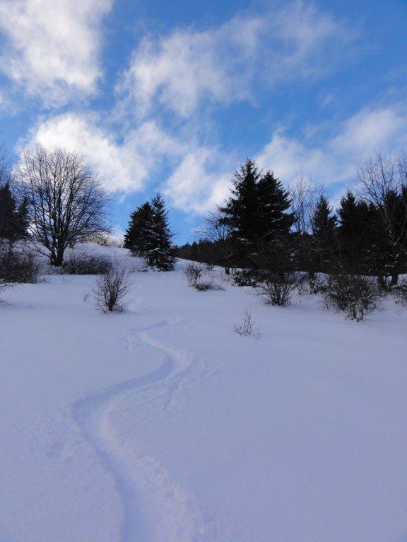 Traces Pré de Borin : Un peu de pré