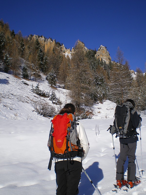 Col Tronchet : Combe du Pinet
