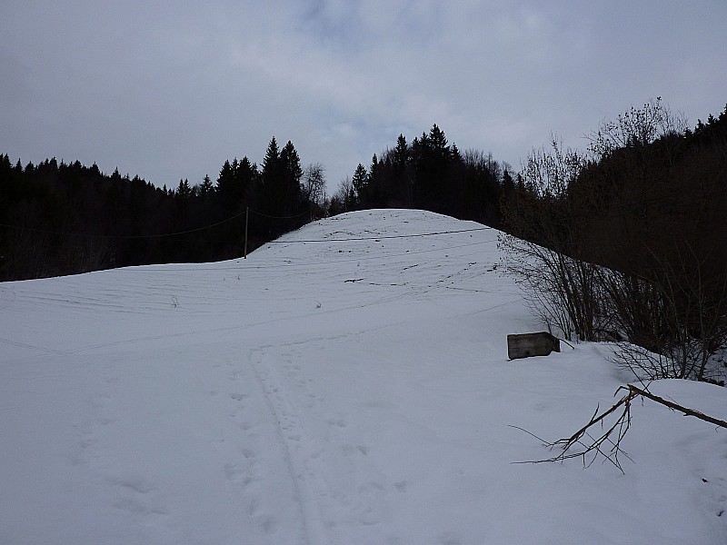 #1 Départ : On voit bien la pelouse Départ : On voit bien la pelouse