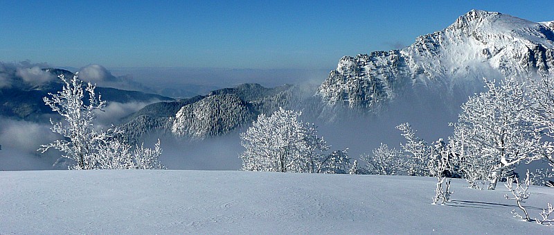 Le Grand Som : Du paysage 100% Chartreuse sur 360° au sommet de la Scia