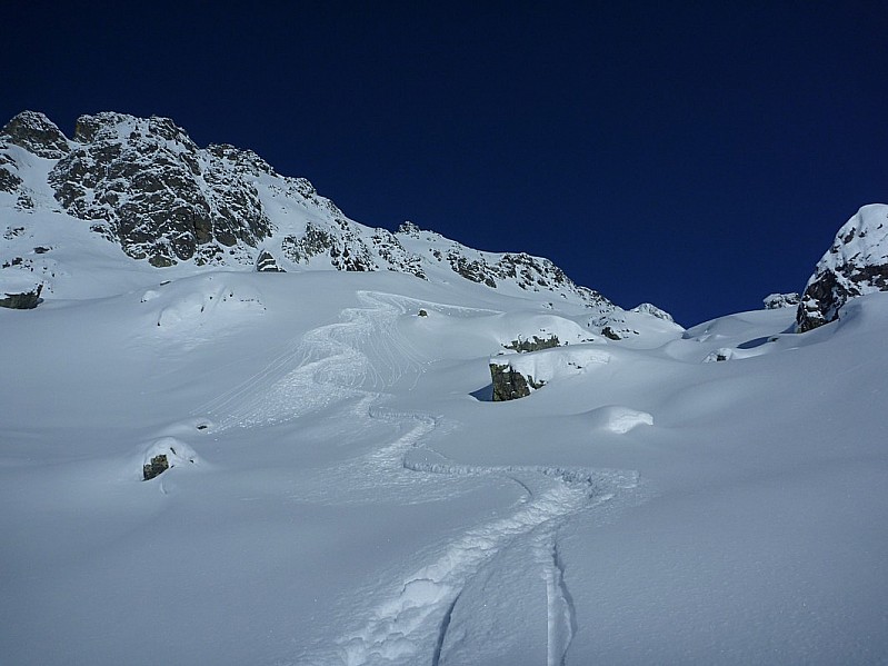 aigleton : du coton bien moelleux !