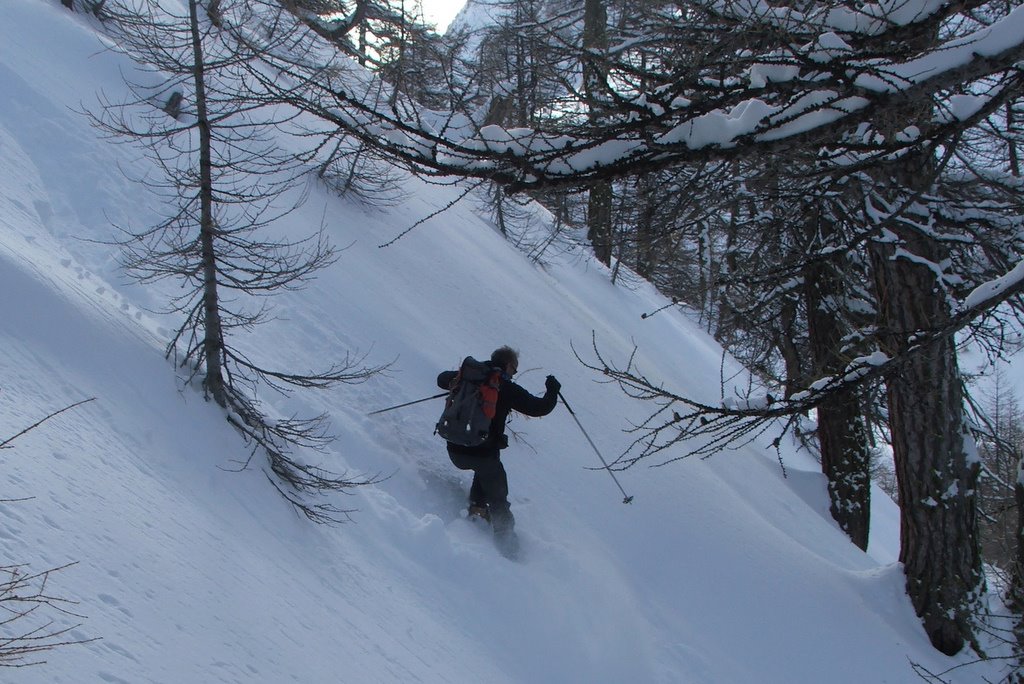 Mélèzin de Fontouse : (photo PJL)