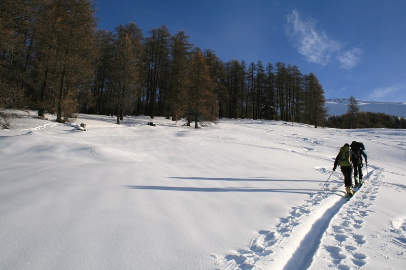 Le long du bois de Peyrola : montée tranquille