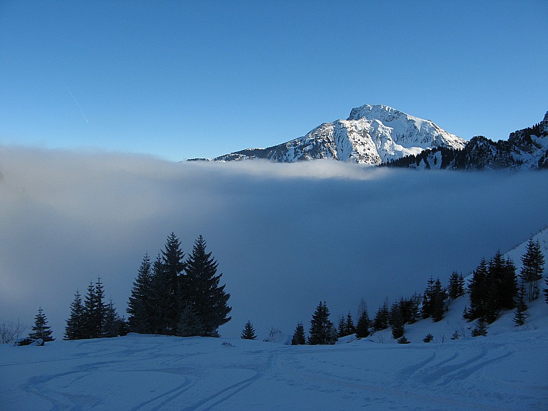 Vue sur le mont Grange : au-dessus de la mer de nuage