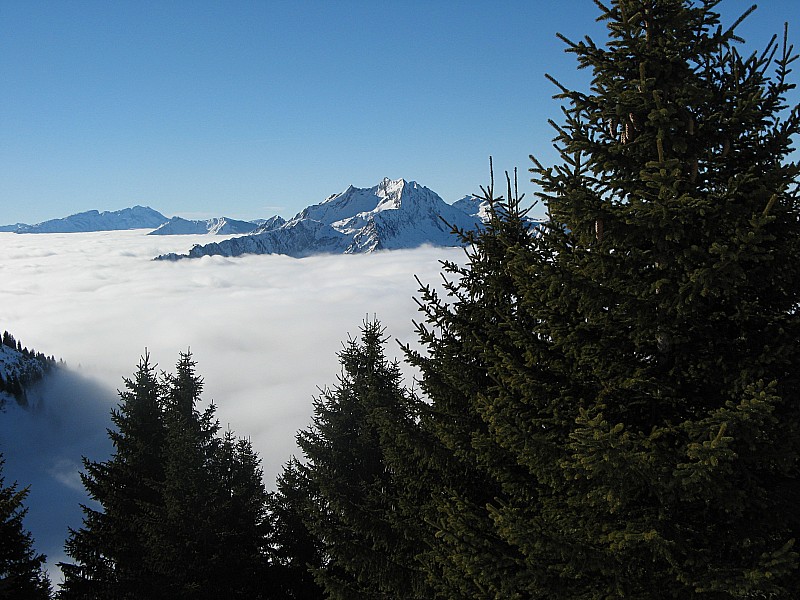 Mer de nuage