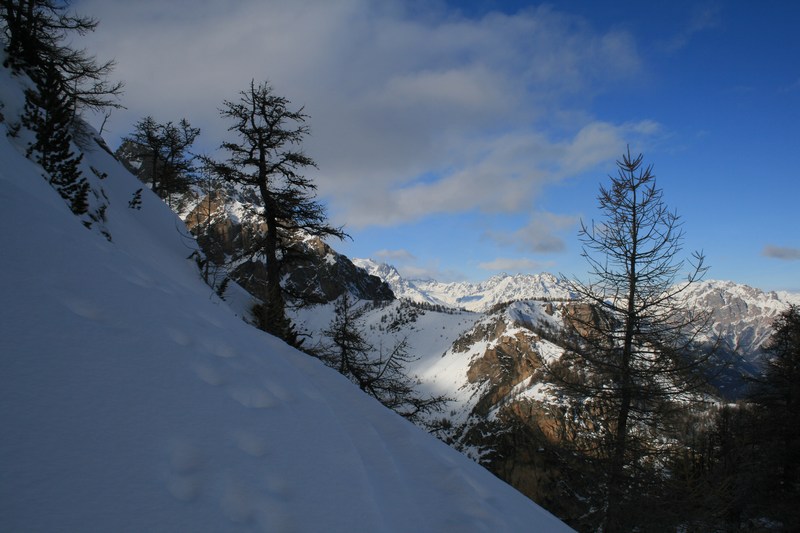 Le col de Tramouillon : laisse entrevoir le Pelvoux et le Glacier Blanc.