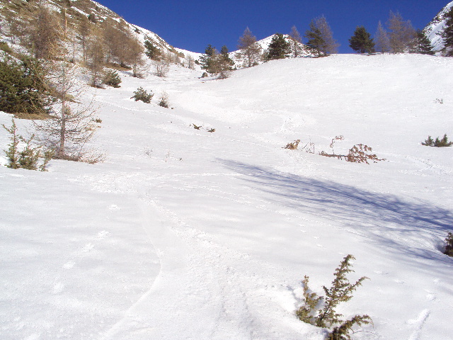 malaterre : vallon de douans