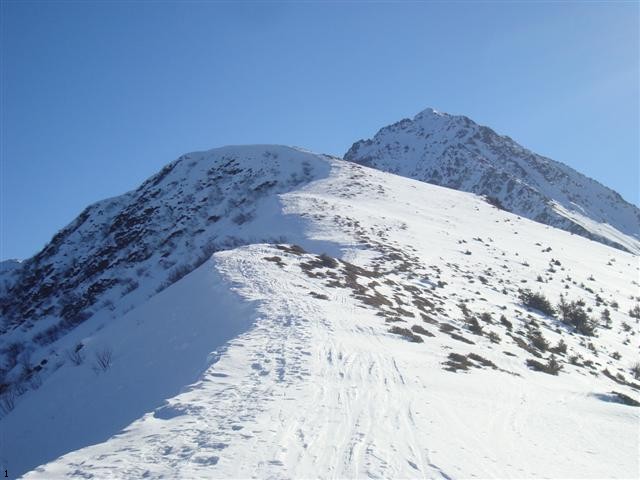 grande montagne d'Arvillard : Grands moulins et Grande montagne d'Arvillard. Les rhododendrons affleurent.