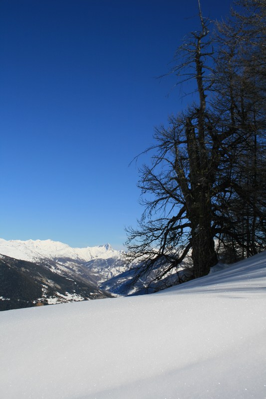 Le collet 2240 m : y'a plus qu'à se laisser glisser jusqu'à Villargaudin.