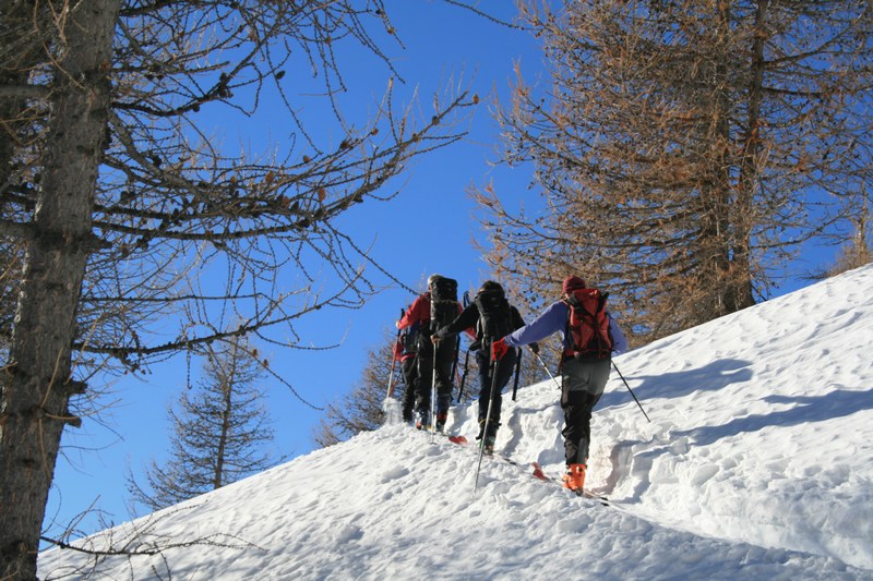 Sous la cabane de Baoude : joli mélézin, ciel bleu, bonne neige; je me répète de jour en jour ...