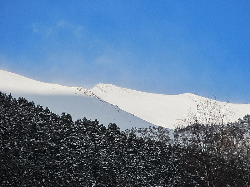 Pétoumier 30 janv2011 : le pétoumier face sud depuis Valdeblore La Bolline: 20cms de poudreuse tombée hier soir, enfin!!!