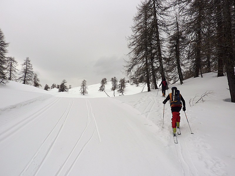skating : Pour le ski de fond c'est super, on a vu passer deux avions!!!