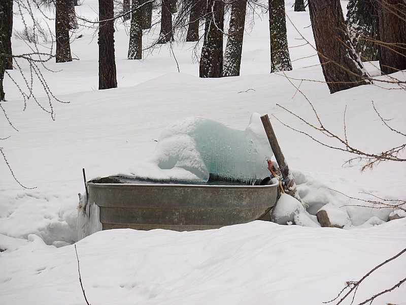 glaçon : Au retour on aurait pu boire un Ricard bien frais!!!
